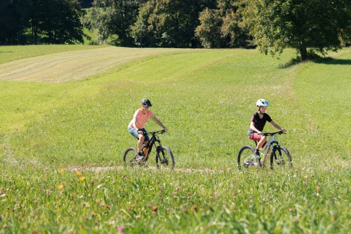hurongues ilot nature vtt